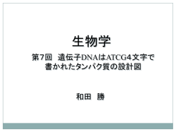 ｽﾗｲﾄﾞ ﾀｲﾄﾙなし