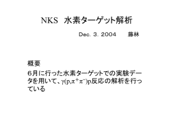 NKS 水素ターゲット解析