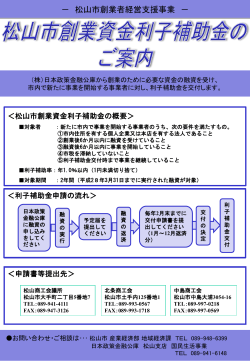 松山市インターネットショップ起業支援補助金チラシ