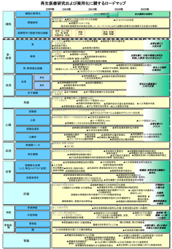 ロードマップ