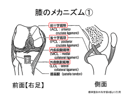 膝に症状がある方への 運動指導マニュアル