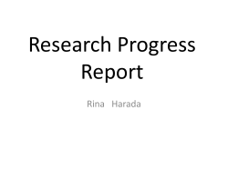 Research Progress Report