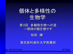 ｽﾗｲﾄﾞ ﾀｲﾄﾙなし