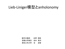 Lieb-Liniger模型とホロノミー