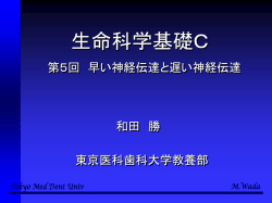 ｽﾗｲﾄﾞ ﾀｲﾄﾙなし