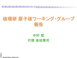 核理研 原子核ワーキング・グループ 報告