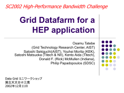 Grid Datafarm for HEP applications