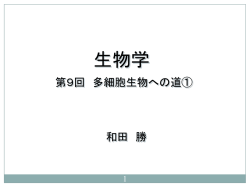 ｽﾗｲﾄﾞ ﾀｲﾄﾙなし