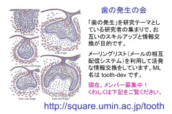 ｽﾗｲﾄﾞ ﾀｲﾄﾙなし