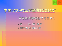 中国IT産業の実態