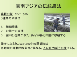 棚田 中国南部 雲南省