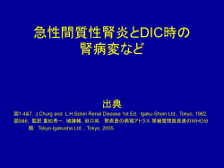 スライド 1 - Nephroma2a