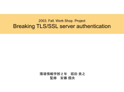 Breaking TLS/SSL server authentication