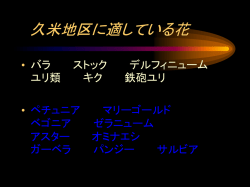 ｽﾗｲﾄﾞ ﾀｲﾄﾙなし
