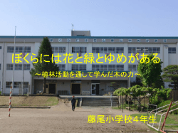 藤尾小学校 「学校の森」 取組発表