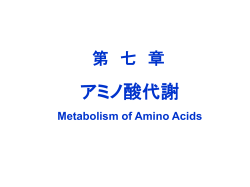 氨 基 酸 代 谢 Metabolism of Amino Acids