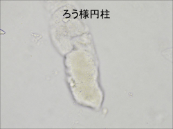 ろう様円柱 - 一般社団法人 千葉県