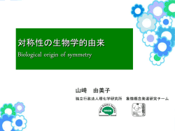 動物における刺激等価性と論理的推論 Stimulus equiv