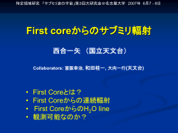 Collapse of First Core and The Possibility of