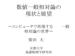 数値相対論の展望