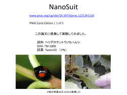 NanoSuit
