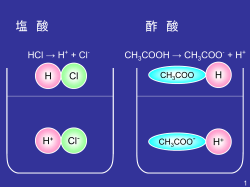 実践1_酸塩基の強弱