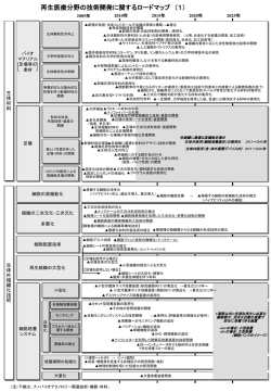ロードマップ