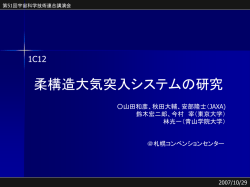 柔軟構造大気突入システム 2007/08/13 ミーティング