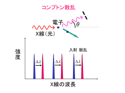 PowerPoint プレゼンテーション