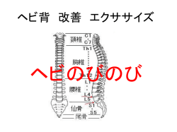さあ！はじめるぞぉ～