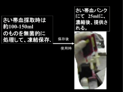 PowerPoint プレゼンテーション