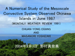 A Numerical Study of the Mesoscale Convective