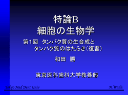 ｽﾗｲﾄﾞ ﾀｲﾄﾙなし