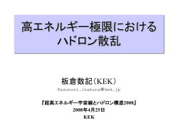高エネルギー極限における ハドロン散乱