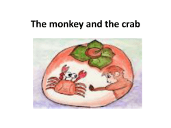 The monkey and the crab