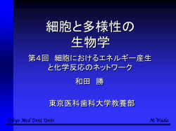 ｽﾗｲﾄﾞ ﾀｲﾄﾙなし