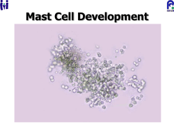 Mast Cell Degranulation