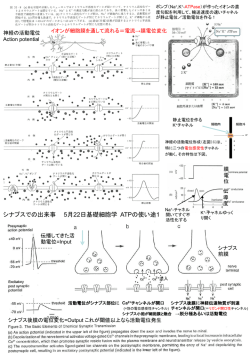 スライド 1