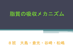 脂質の吸収メカニズム - SEM連続断面観察