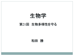 ｽﾗｲﾄﾞ ﾀｲﾄﾙなし