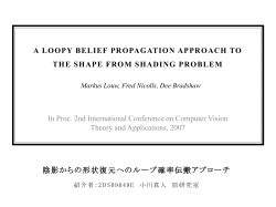 A LOOPY BELIEF PROPAGATION APPROACH TO THE SHAPE