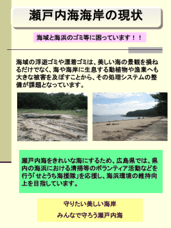 リモートセンシングによる藻場とサンゴ礁のマッピング