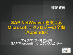 SAP NetWeaver を支える Microsoft テクノロジーの全貌