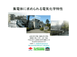 リチウムイオン二次電池の正極構造と電池性能