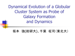 Dynamical Evolution of a Globular Cluster System