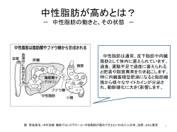 中性脂肪が高めとは？ － 中性脂肪の動きと、その状態