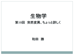 ｽﾗｲﾄﾞ ﾀｲﾄﾙなし