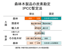 森林木製品の炭素勘定