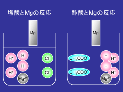 実践1_展開1_塩酸、酢酸とMgの反応
