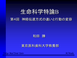 ｽﾗｲﾄﾞ ﾀｲﾄﾙなし